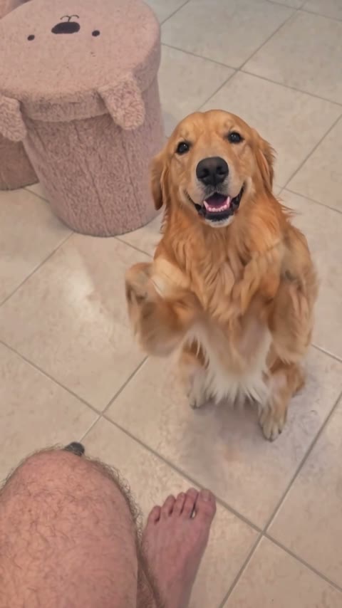 One Pet Photo
